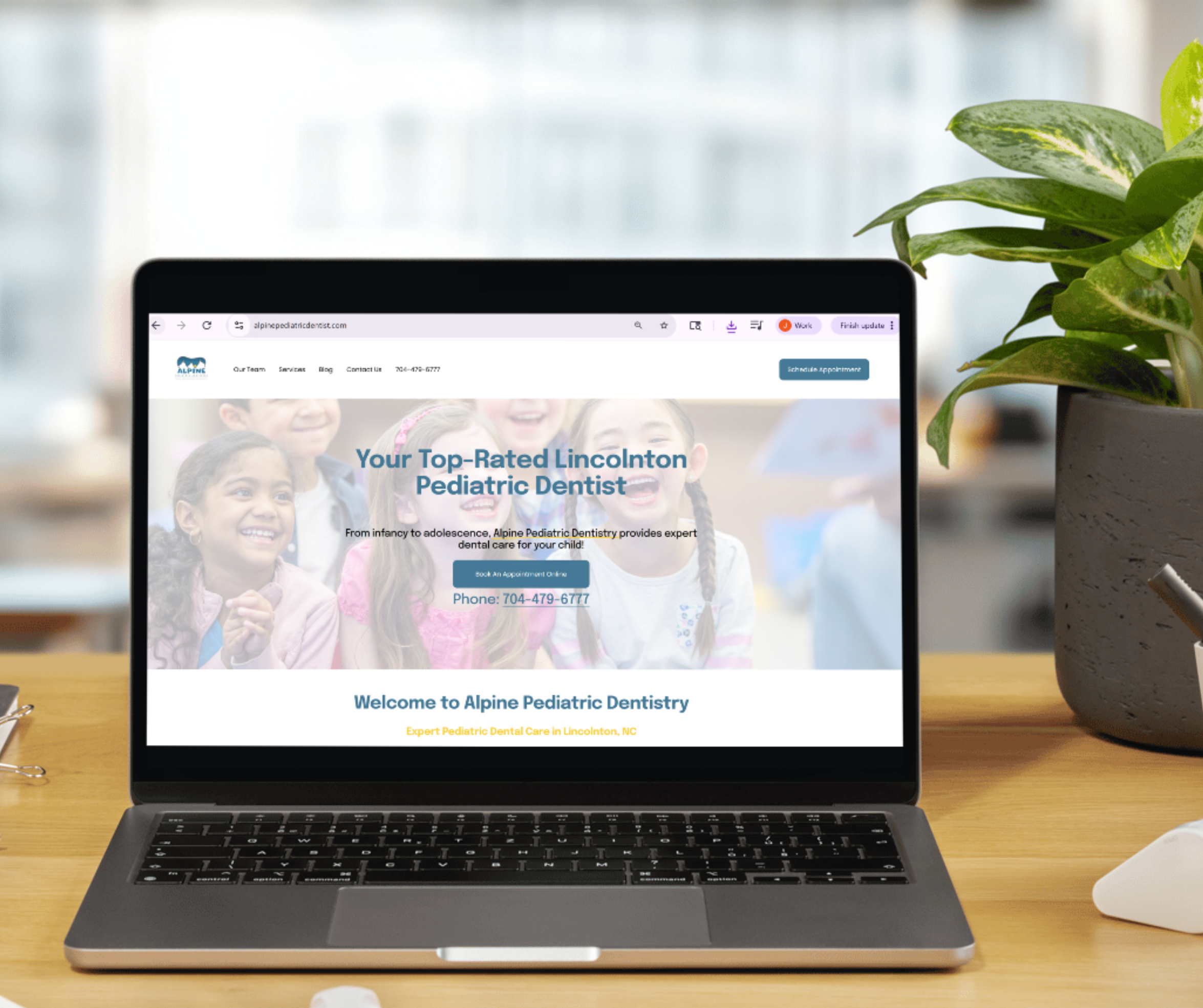 Alpine Website Alpine Website